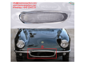 lotus-elite-s1-1958-1963-front-grille-small-0